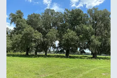 Cr 755, Webster, FL 33597 - Photo 1