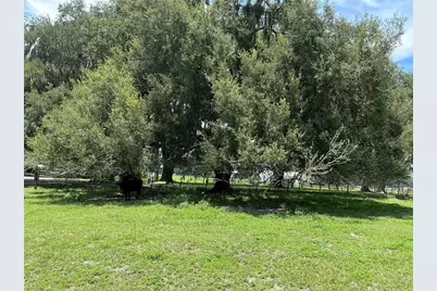 Cr 755, Webster, FL 33597 - Photo 19