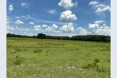 Cr 755, Webster, FL 33597 - Photo 15