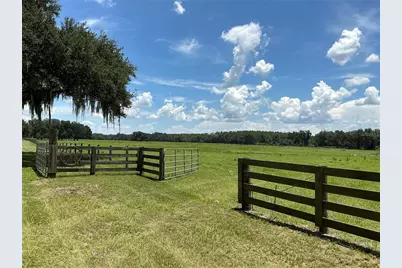 Cr 755, Webster, FL 33597 - Photo 21