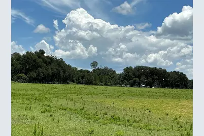 Cr 755, Webster, FL 33597 - Photo 7