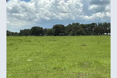 Cr 755, Webster, FL 33597 - Photo 5