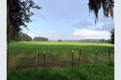 Cr 755, Webster, FL 33597 - Photo 47