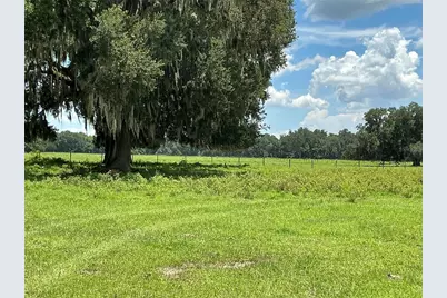 Cr 755, Webster, FL 33597 - Photo 3