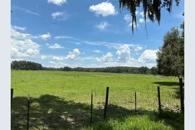 Cr 755, Webster, FL 33597 - Photo 29