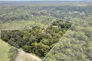 19040 NW 88th Avenue Rd, Reddick, FL 32686 - Photo 67