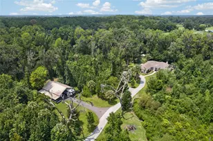 19040 NW 88th Avenue Rd, Reddick, FL 32686 - Photo 9