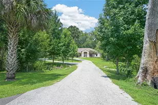 19040 NW 88th Avenue Rd, Reddick, FL 32686 - Photo 3