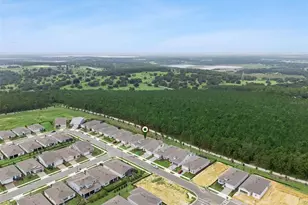 2546 Del Webb Dr, Minneola, FL 34715 - Photo 47