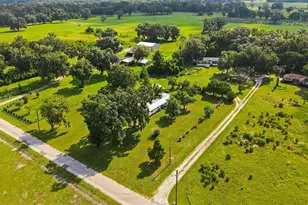 13637 Cr 737, Webster, FL 33597 - Photo 31