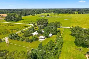 13637 Cr 737, Webster, FL 33597 - Photo 3