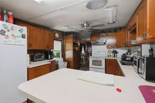13637 Cr 737, Webster, FL 33597 - Photo 7