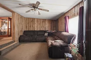 13637 Cr 737, Webster, FL 33597 - Photo 5