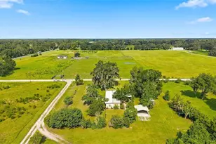 13637 Cr 737, Webster, FL 33597 - Photo 25