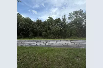 3913 N Eisenhower Avenue, Hernando, FL 34442 - Photo 5