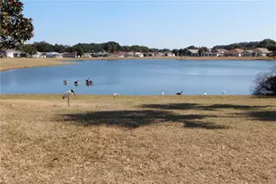17996 SE 115th Cir, Summerfield, FL 34491 - Photo 35