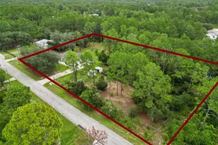 41220 Alder Way, Eustis, FL 32736 - Photo 29