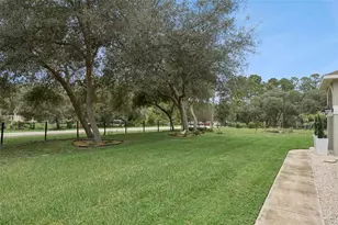 41220 Alder Way, Eustis, FL 32736 - Photo 43