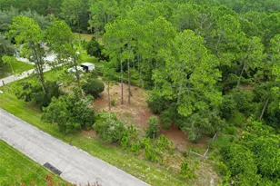 41220 Alder Way, Eustis, FL 32736 - Photo 47