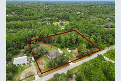 41220 Alder Way, Eustis, FL 32736 - Photo 3