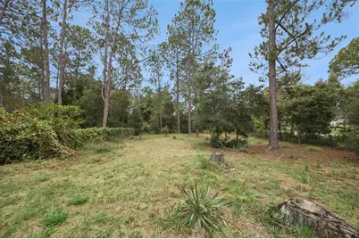 41220 Alder Way, Eustis, FL 32736 - Photo 45