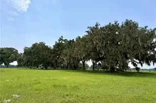 E C-478, Webster, FL 33597 - Photo 1
