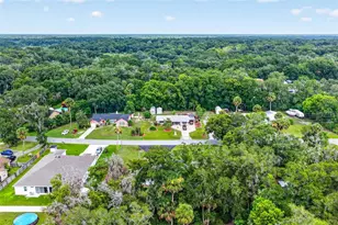 31151 Deal Dr, Mount Plymouth, FL 32776 - Photo 43