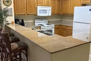 13427 Blue Heron Beach Dr, Orlando, FL 32821 - Photo 5