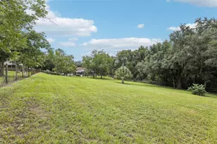 30733 Buttercup Ln, Mount Dora, FL 32757 - Photo 43
