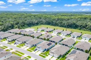 20010 Royal Tern Ct, Leesburg, FL 34748 - Photo 45