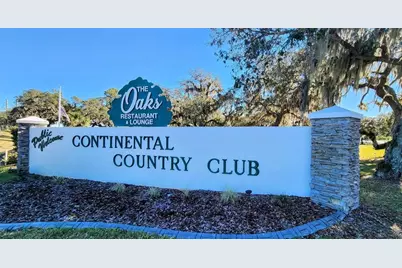 48 S Bobwhite Road, Wildwood, FL 34785 - Photo 29