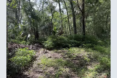 10991 W London Lane, Homosassa, FL 34448 - Photo 5