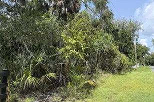 10991 W London Ln, Homosassa, FL 34448 - Photo 1