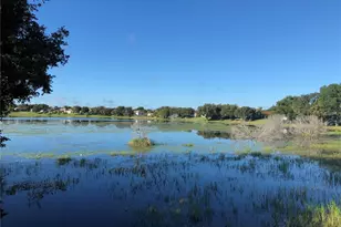 4755 Tara View Rd, Leesburg, FL 34748 - Photo 95