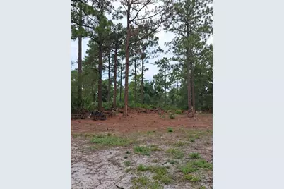 Park Forest Boulevard, Mount Dora, FL 32757 - Photo 5