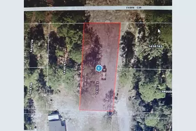 Park Forest Boulevard, Mount Dora, FL 32757 - Photo 3
