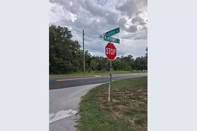 Park Forest Boulevard, Mount Dora, FL 32757 - Photo 1