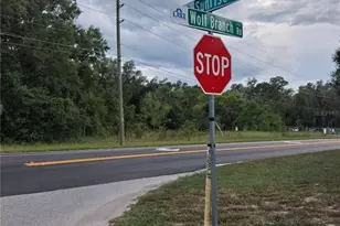 Park Forest Blvd, Mount Dora, FL 32757 - Photo 1