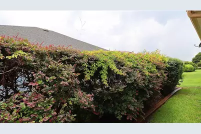 11735 SE 91st Circle, Summerfield, FL 34491 - Photo 39