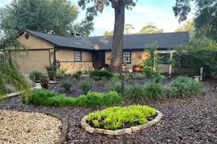 2115 Suzanne Dr, Mount Dora, FL 32757 - Photo 39