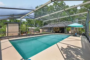 2115 Suzanne Dr, Mount Dora, FL 32757 - Photo 31