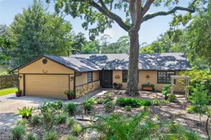 2115 Suzanne Dr, Mount Dora, FL 32757 - Photo 37