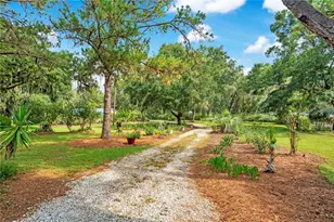41832 Carrie Ln, Altoona, FL 32702 - Photo 5
