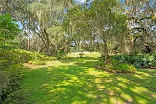 41832 Carrie Ln, Altoona, FL 32702 - Photo 41