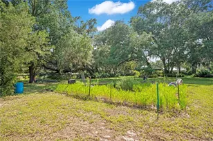 41832 Carrie Ln, Altoona, FL 32702 - Photo 47