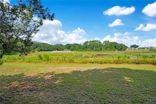 41832 Carrie Ln, Altoona, FL 32702 - Photo 45