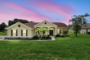 13059 Sandy Pine Ln, Clermont, FL 34711 - Photo 1