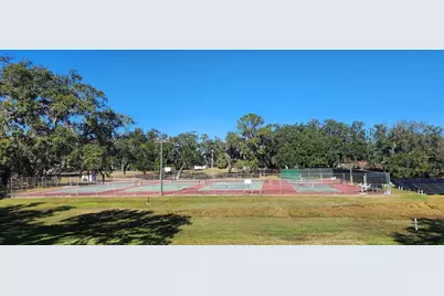 802 Robin Lane, Wildwood, FL 34785 - Photo 29