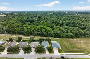 5202 Royce Dr, Mount Dora, FL 32757 - Photo 59