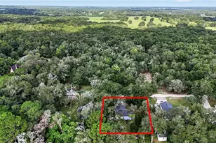 30832 Ridgeview Ave, Mount Plymouth, FL 32776 - Photo 27